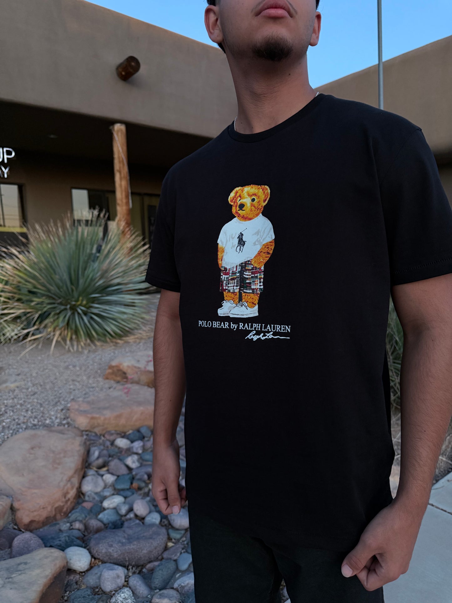 Polo Ralph Lauren Bear T-Shirt Black Classic Fit (Limited/Rare)