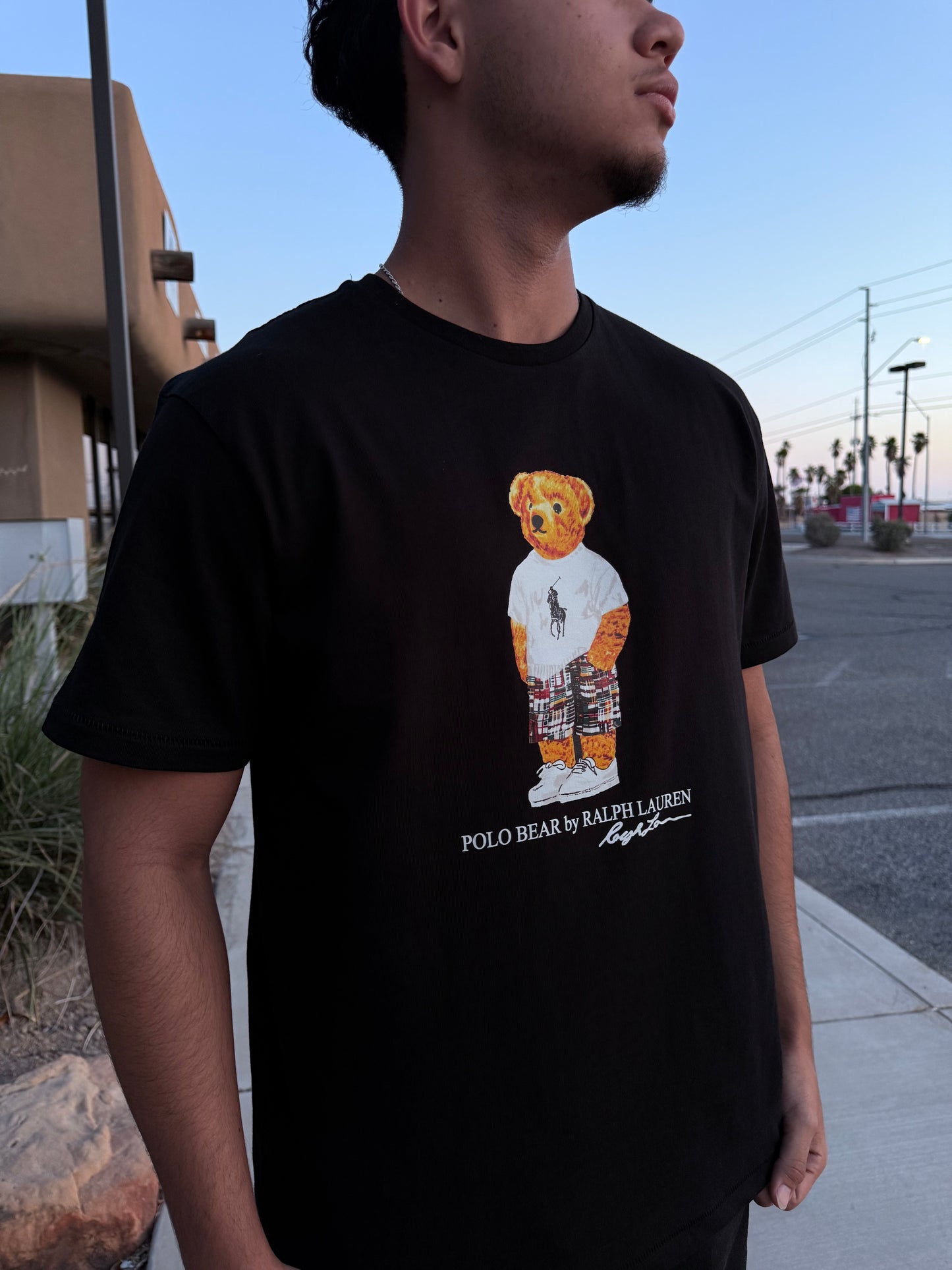 Polo Ralph Lauren Bear T-Shirt Black Classic Fit (Limited/Rare)
